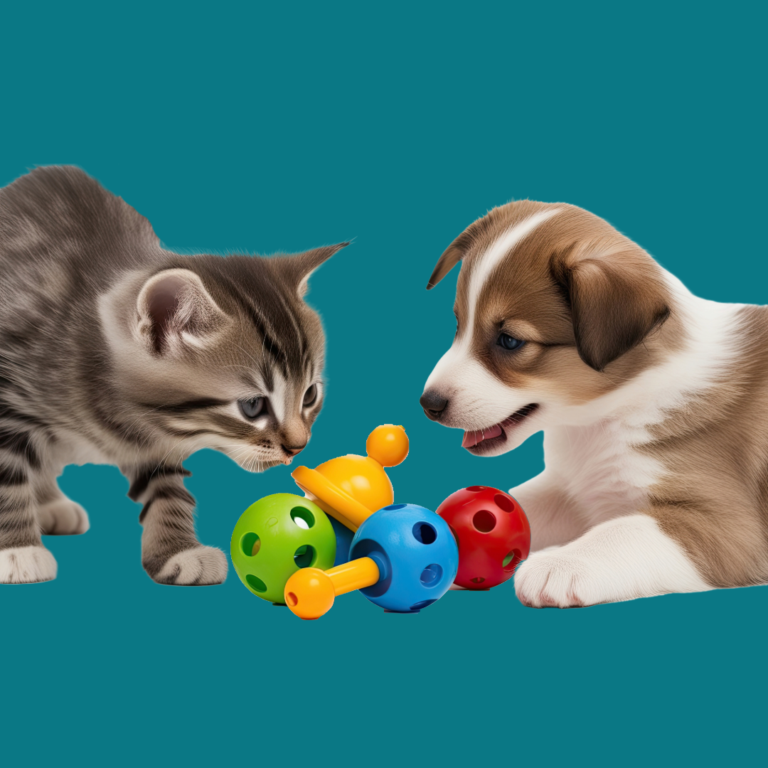 HUND & KATT