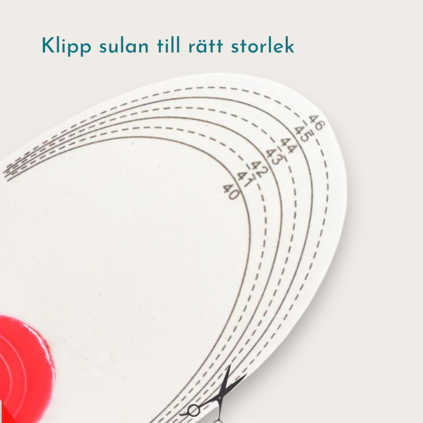 ORTOPEDISKA HÅLFODSSTÖD
