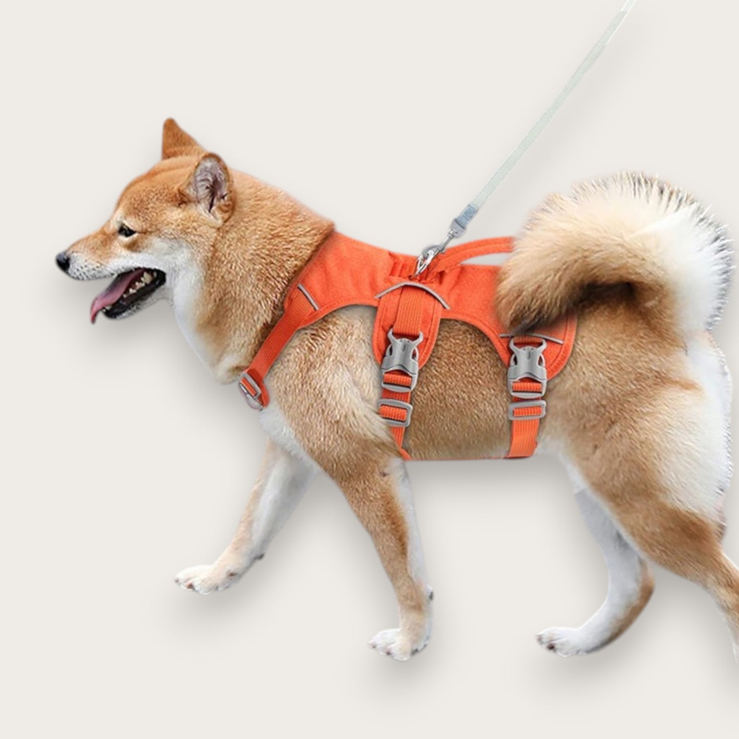 HUNDSELE - Med reflex
