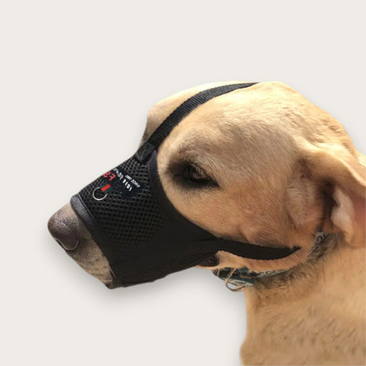 HUNDMUNKORG