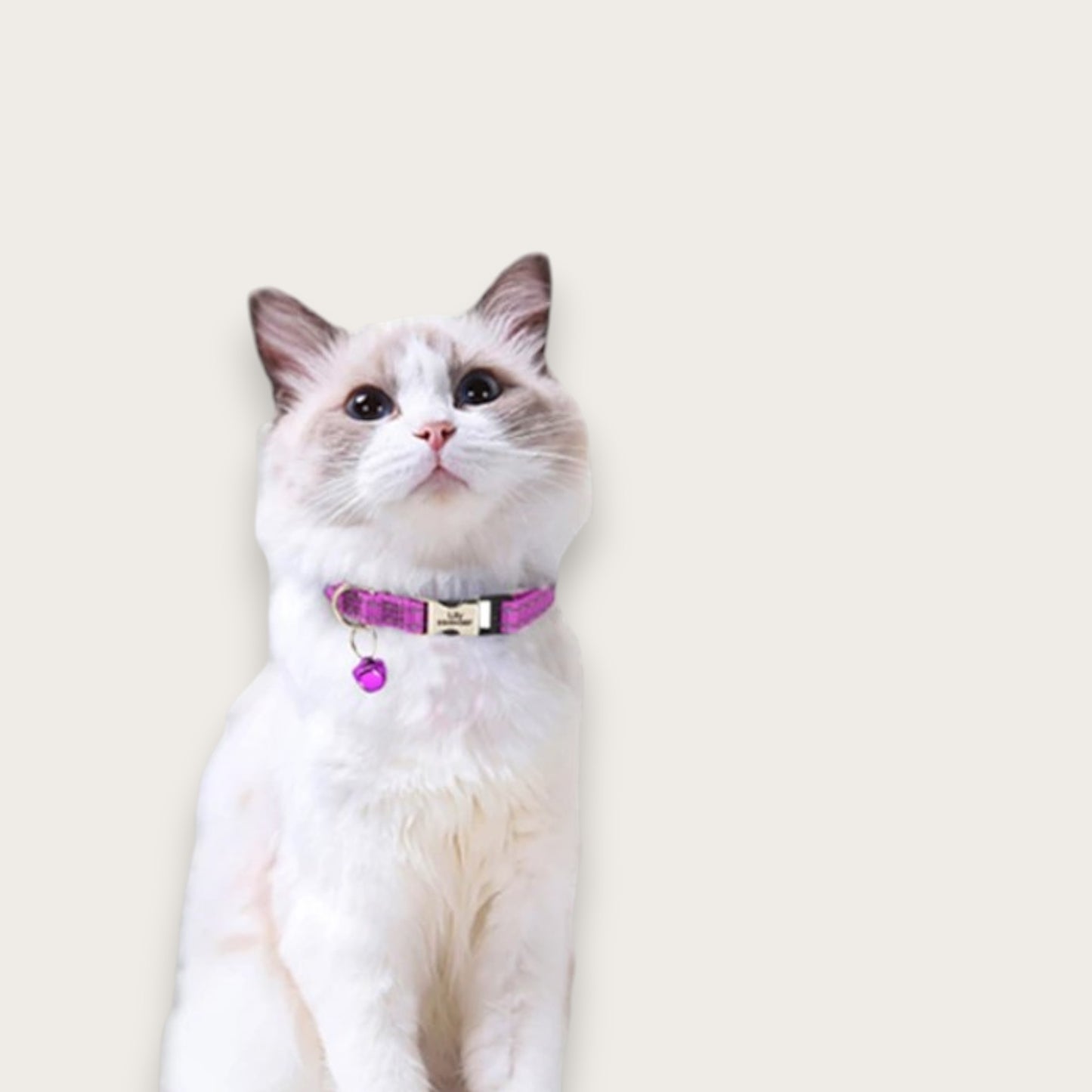 ID-HALSBAND - Katt & Hund