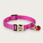 ID-HALSBAND - Katt & Hund