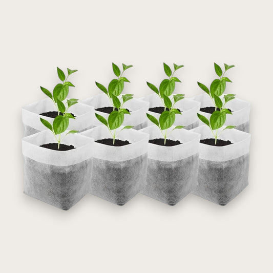 PLANTPÅSAR - Nedbrytbara