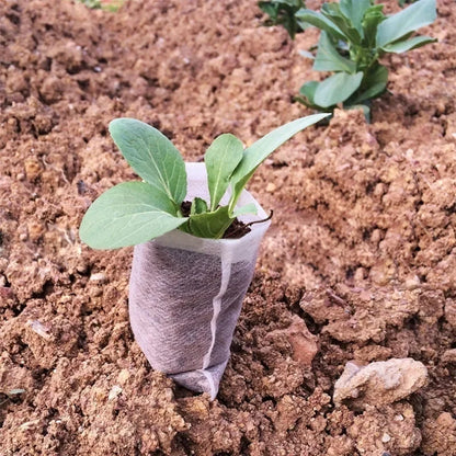 PLANTPÅSAR - Nedbrytbara