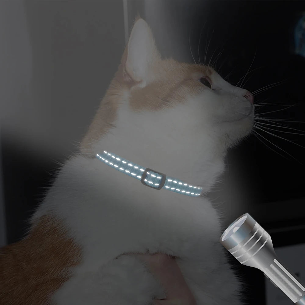ID-HALSBAND - Katt & Hund