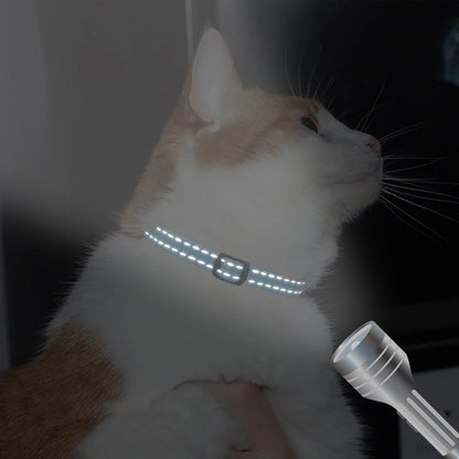 ID-HALSBAND - Katt & Hund