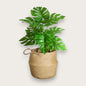 KONSTGJORD MONSTERA - 53cm