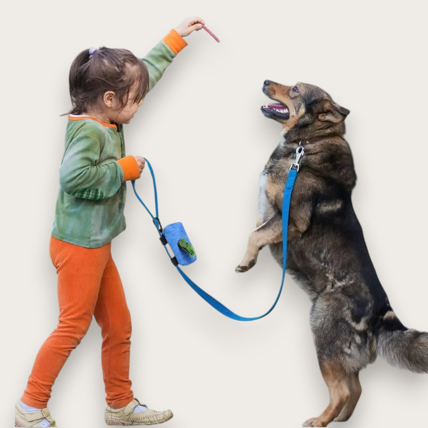 HUNDBAJSPÅSEHÅLLARE