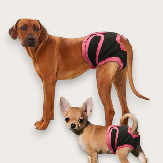 HUNDTROSOR - Löptik