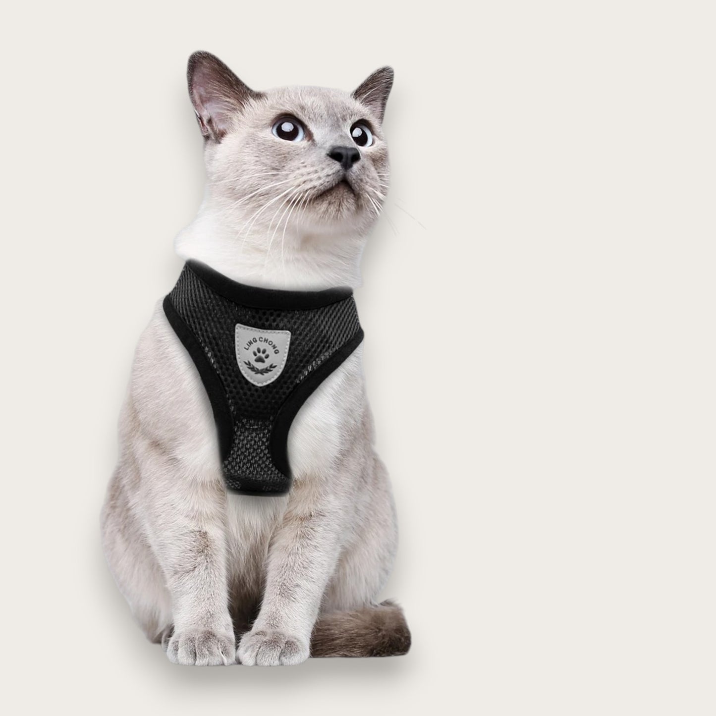 ANDNINGSBAR SELE - Katt & Hund
