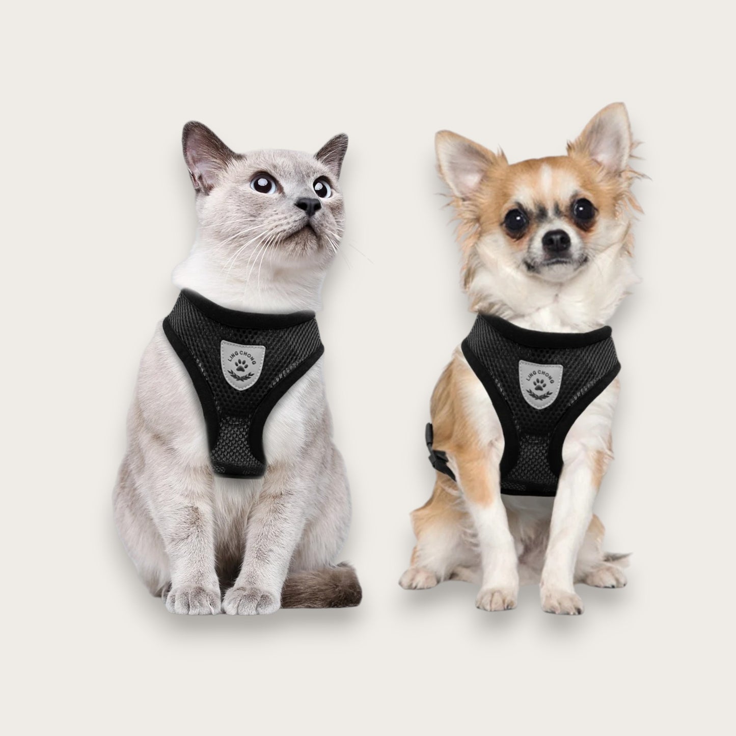 ANDNINGSBAR SELE - Katt & Hund