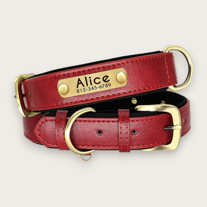 ID-HALSBAND - Flera färger