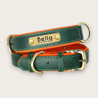 ID-HALSBAND - Flera färger